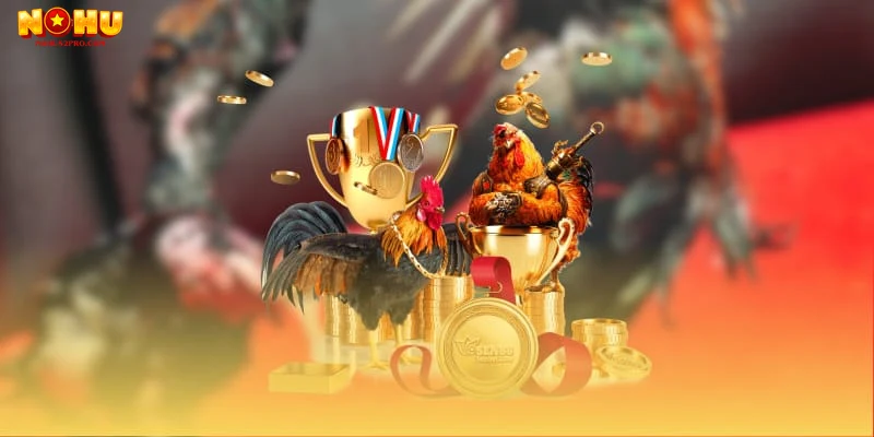 Tại sao nên chọn Nohu52 để xem và tham gia đá gà trực tiếp