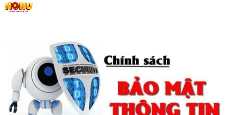 Quyền lợi và trách nhiệm của người dùng liên quan đến chính sách bảo mật